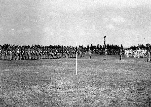 Images/1 LF colour Troop 1951324.jpg